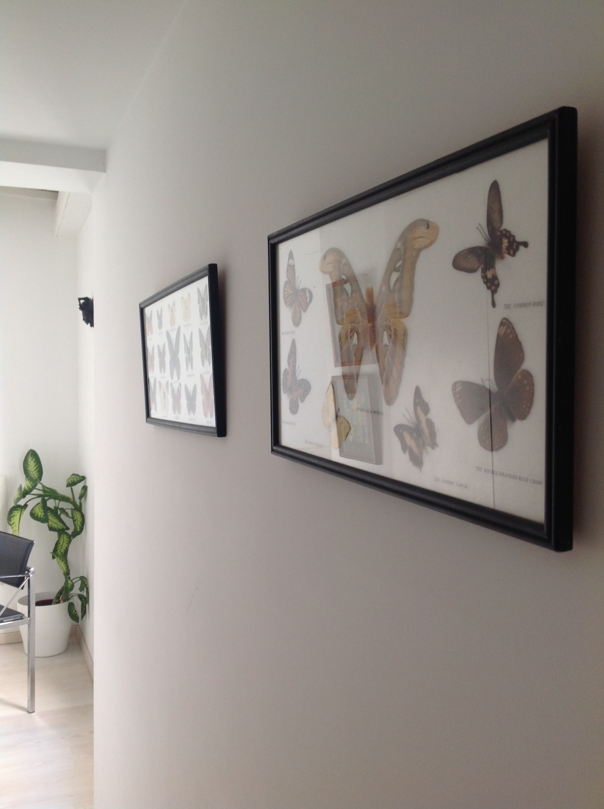 Co working with individula offices