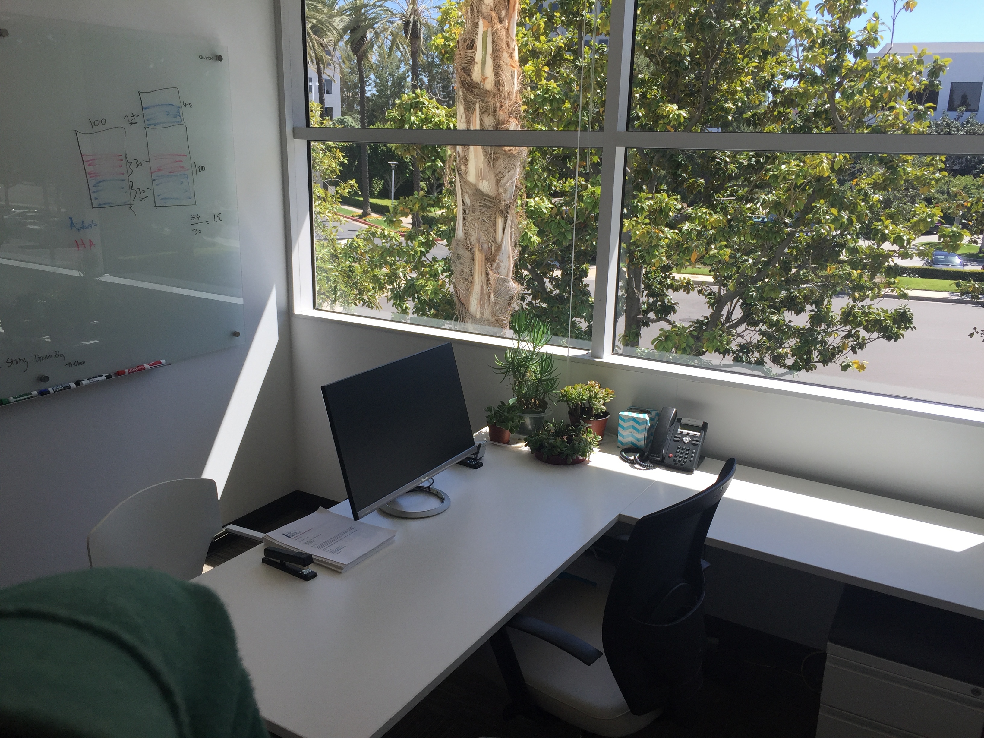 Private Office with Window View