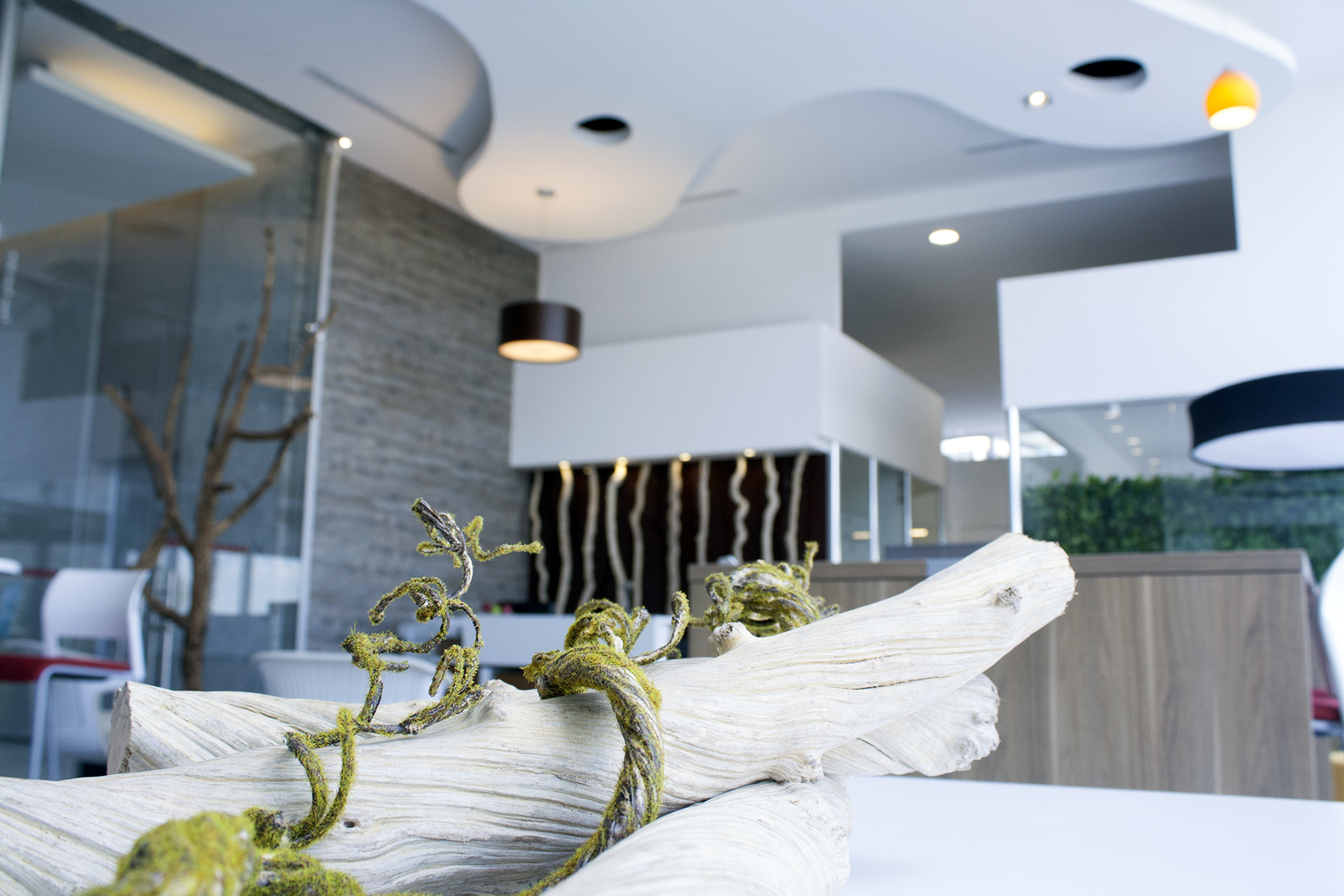 Avanti Querétaro, Central Park