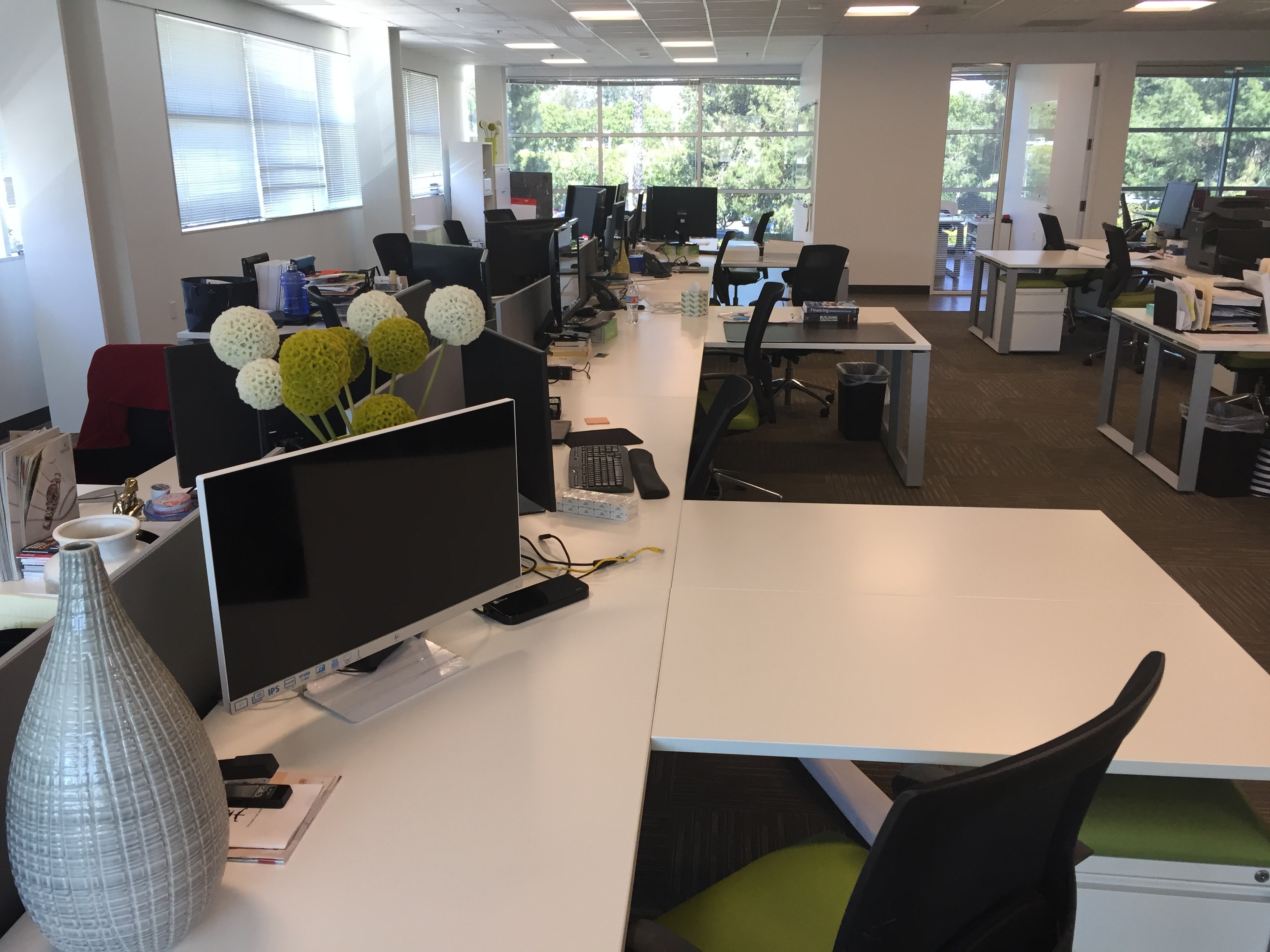 Open Plan Dedicated Desks