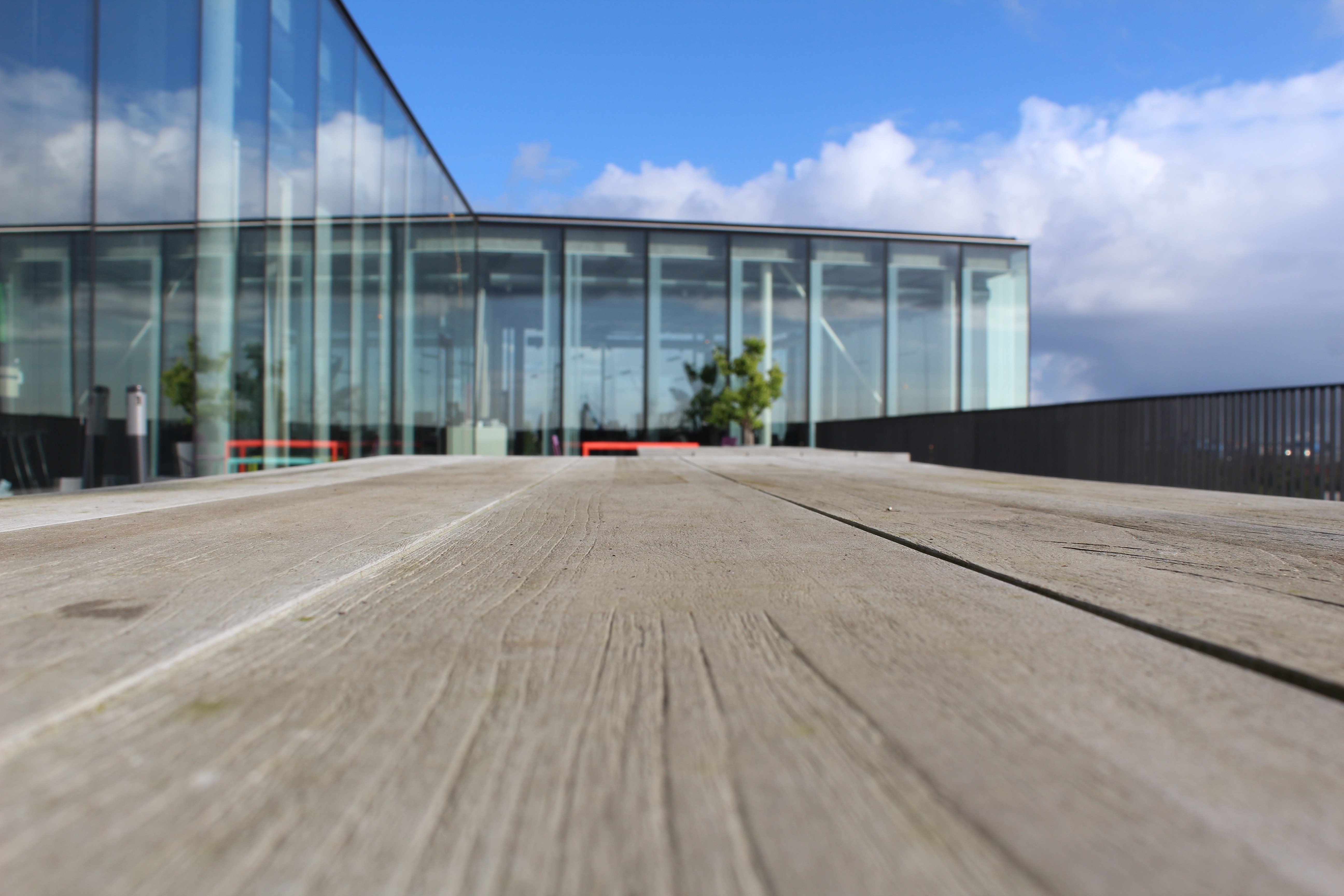 Co-Working at Trendwolves