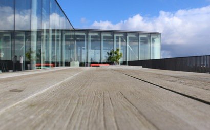 Co-Working at Trendwolves Co-Working at Trendwolves