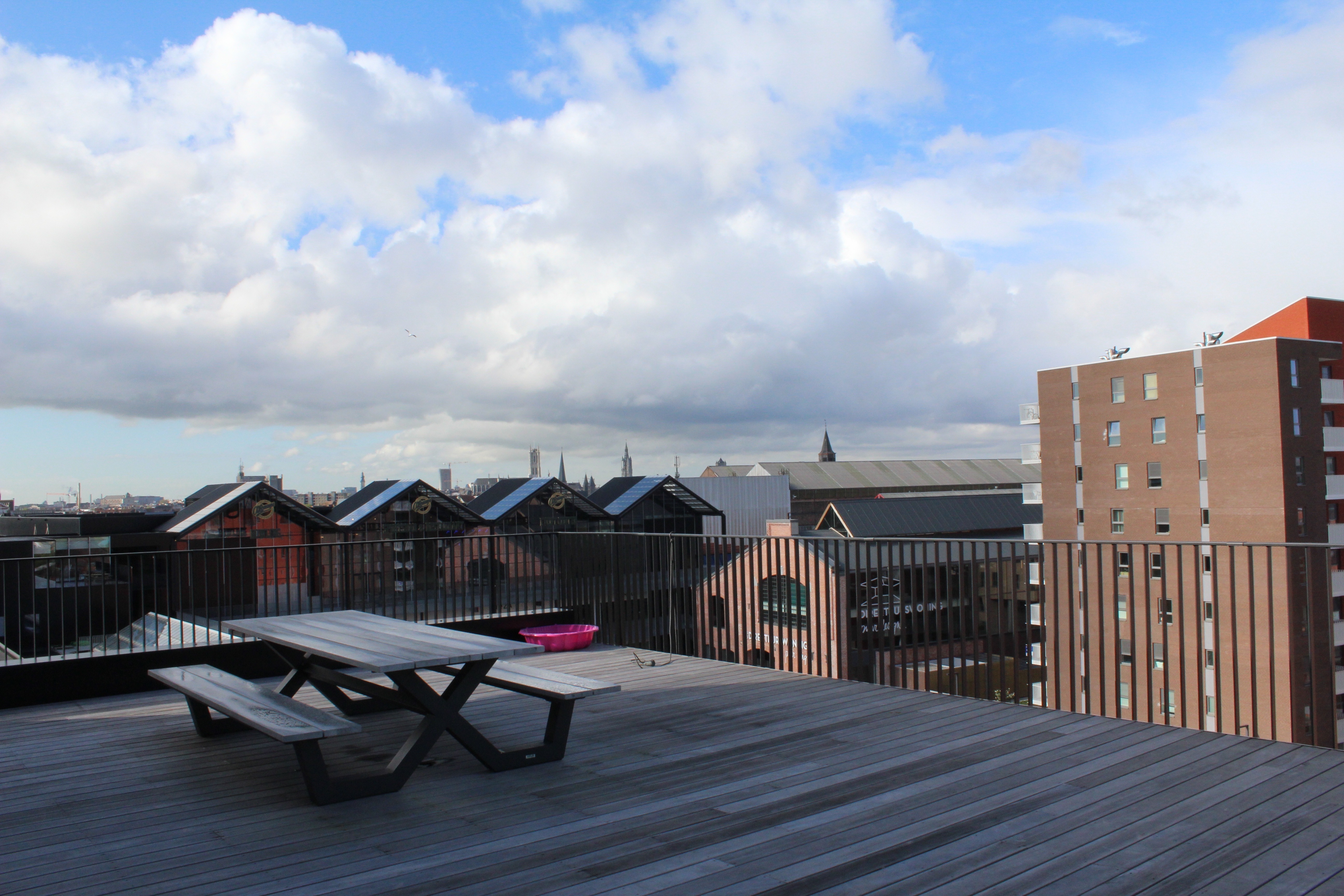 Co-Working at Trendwolves