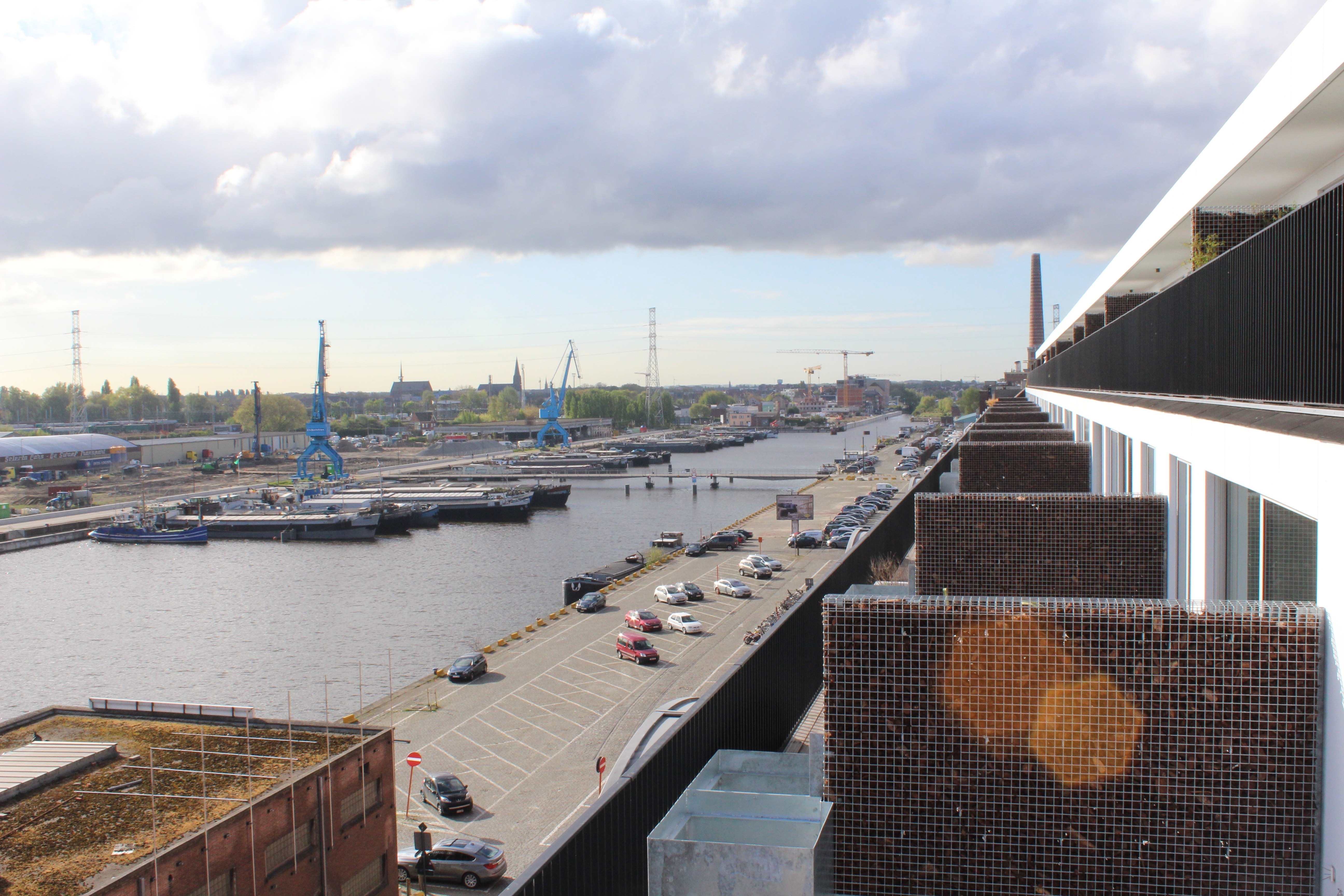 Co-Working at Trendwolves