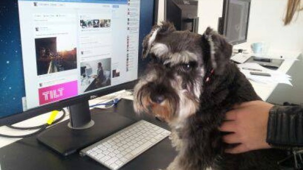 A creative design studio 