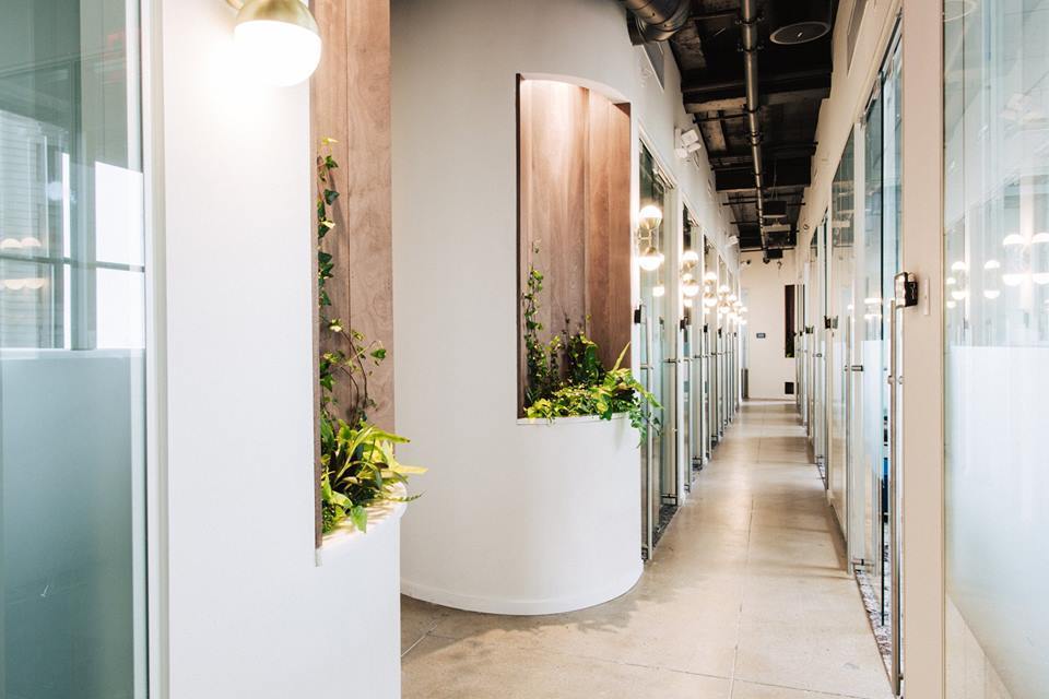 Private Offices (Starting at $775/mth) Private Offices (Starting at $775/mth)