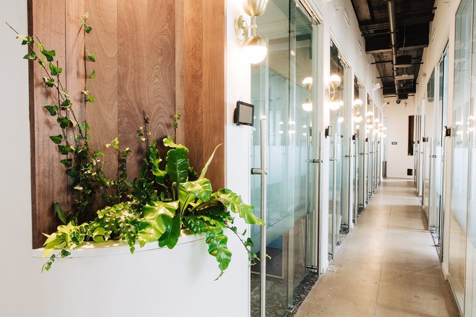 Private Offices (Starting at $775/mth) Private Offices (Starting at $775/mth)
