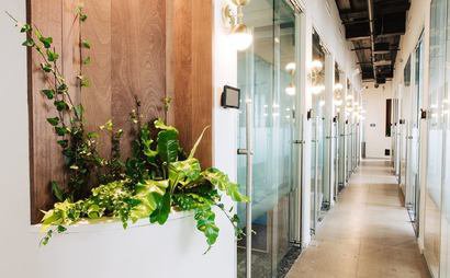 Private Offices (Starting at $775/mth) Private Offices (Starting at $775/mth)