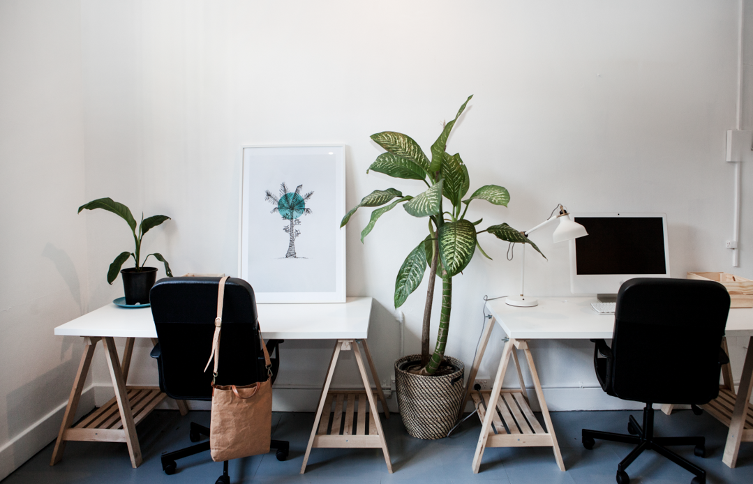 Desk Space and Private Office in Creative space in Manly Desk Space and Private Office in Creative space in Manly
