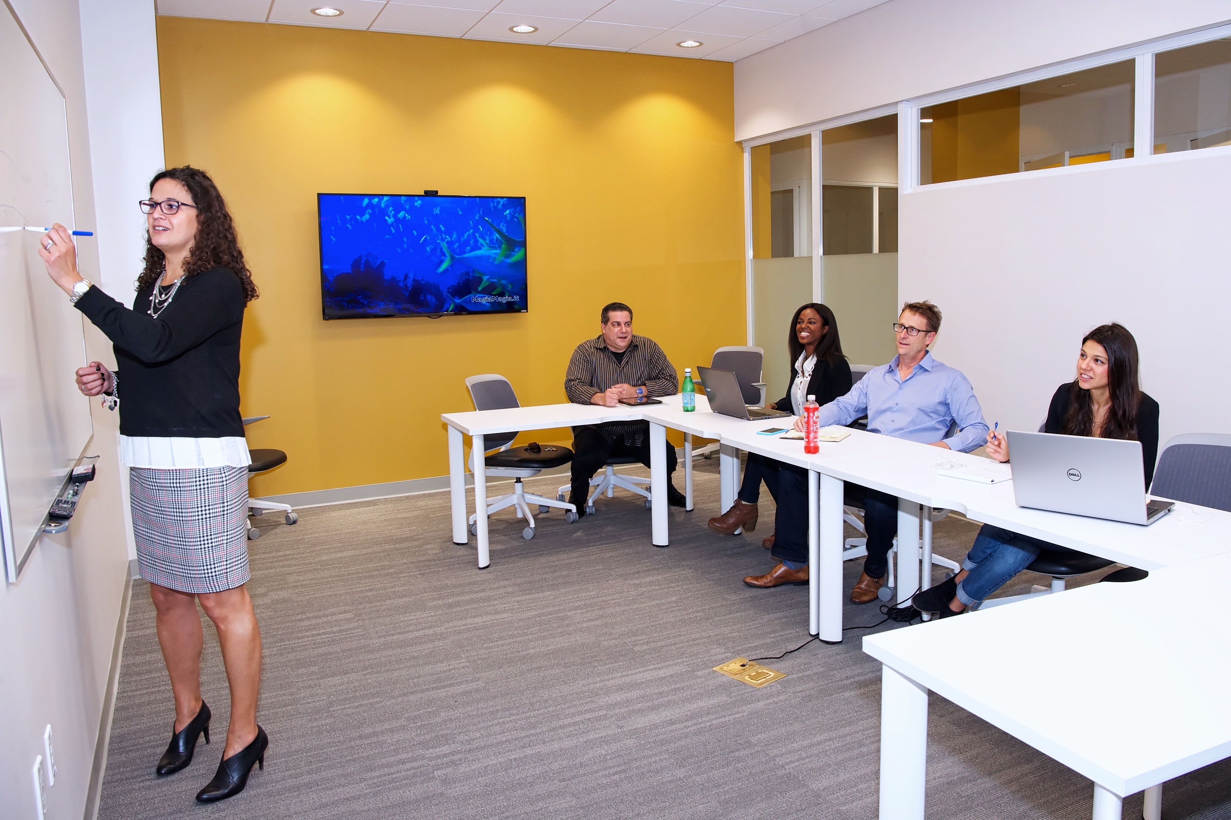 Serendipty Labs Aventura