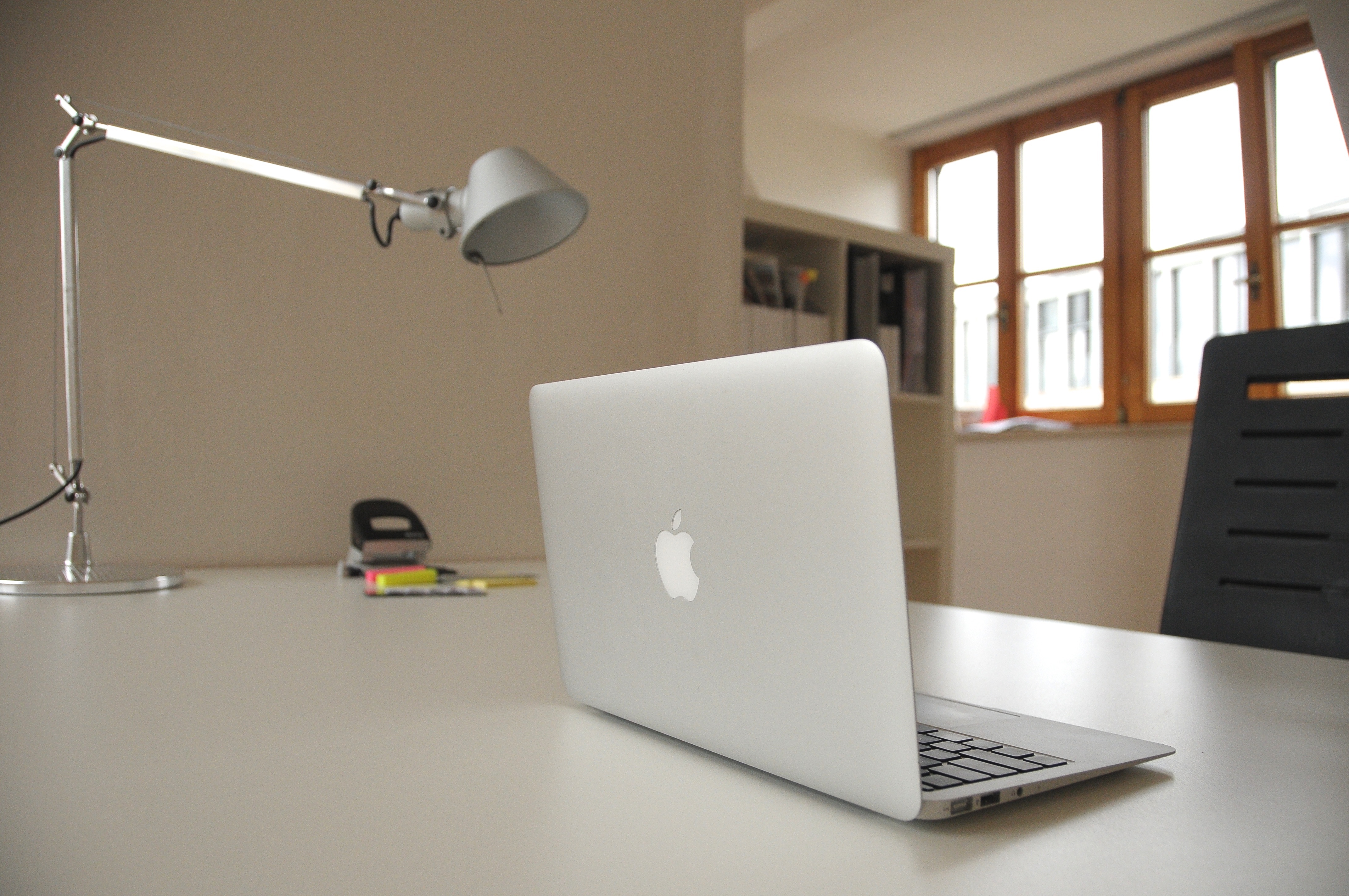 Daylight Paradise ONE