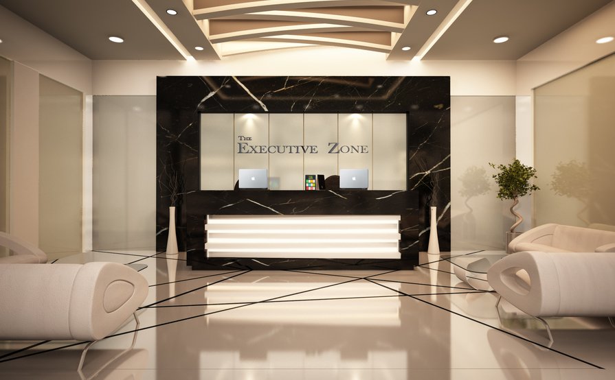 The Executive Zone The Executive Zone