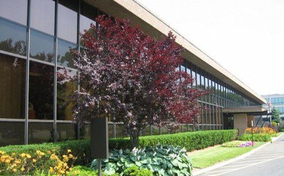 Englewood Cliffs all-inclusive flexible workspaces with private office spaces, coworking & fully equipped meeting rooms Englewood Cliffs all-inclusive flexible workspaces with private office spaces, coworking & fully equipped meeting rooms