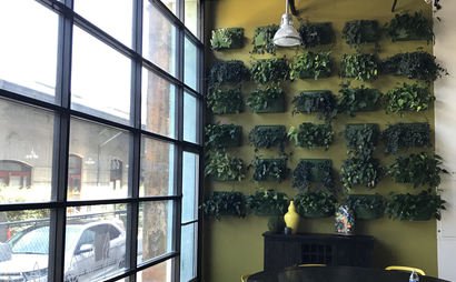 DTLA Start-Up DTLA Start-Up