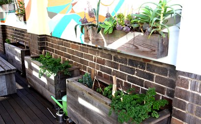 Maddison Napper Maddison Napper