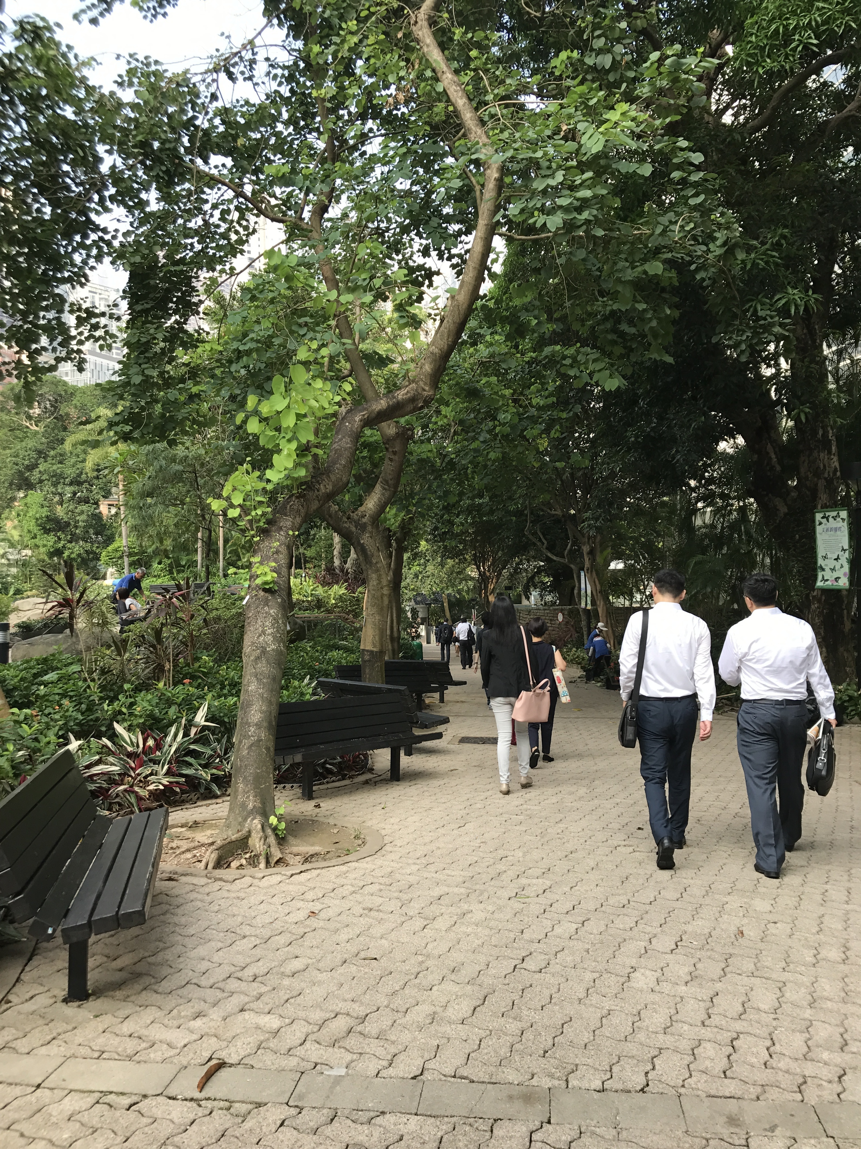 HOT SEATS CO-Working Spaces located in Central next to the Peak Tram.