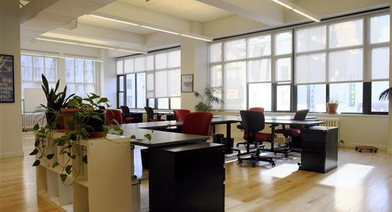 Shared Space in Downtown Brooklyn