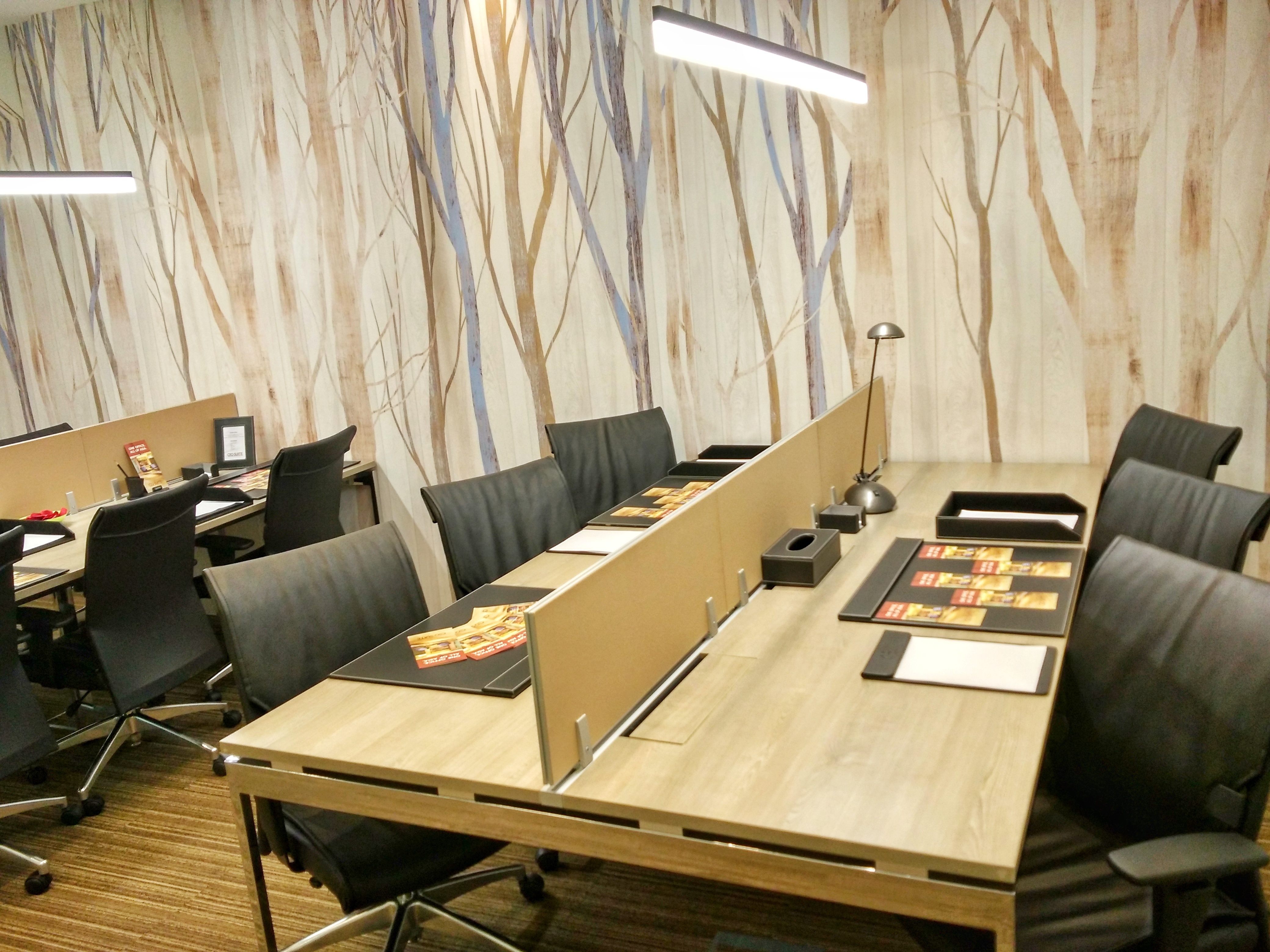 Executive Office Space, Shanghai World Financial Tower