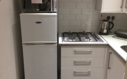 Elena Cook Elena Cook