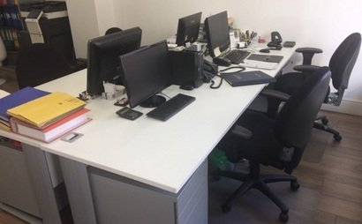 Elena Cook Elena Cook