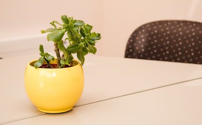 1st Coworking 1st Coworking