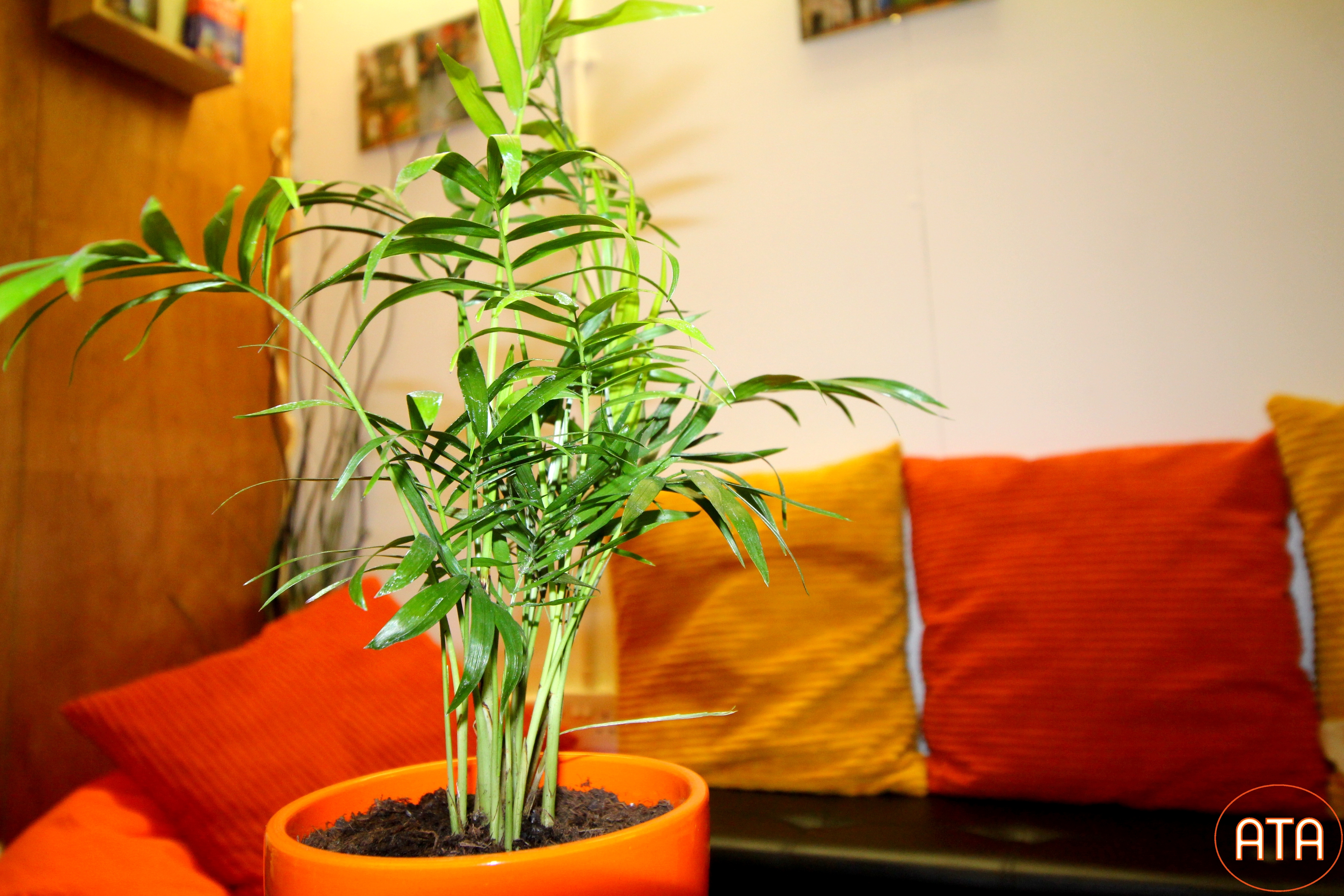 Studio 5 - Cosy private space 