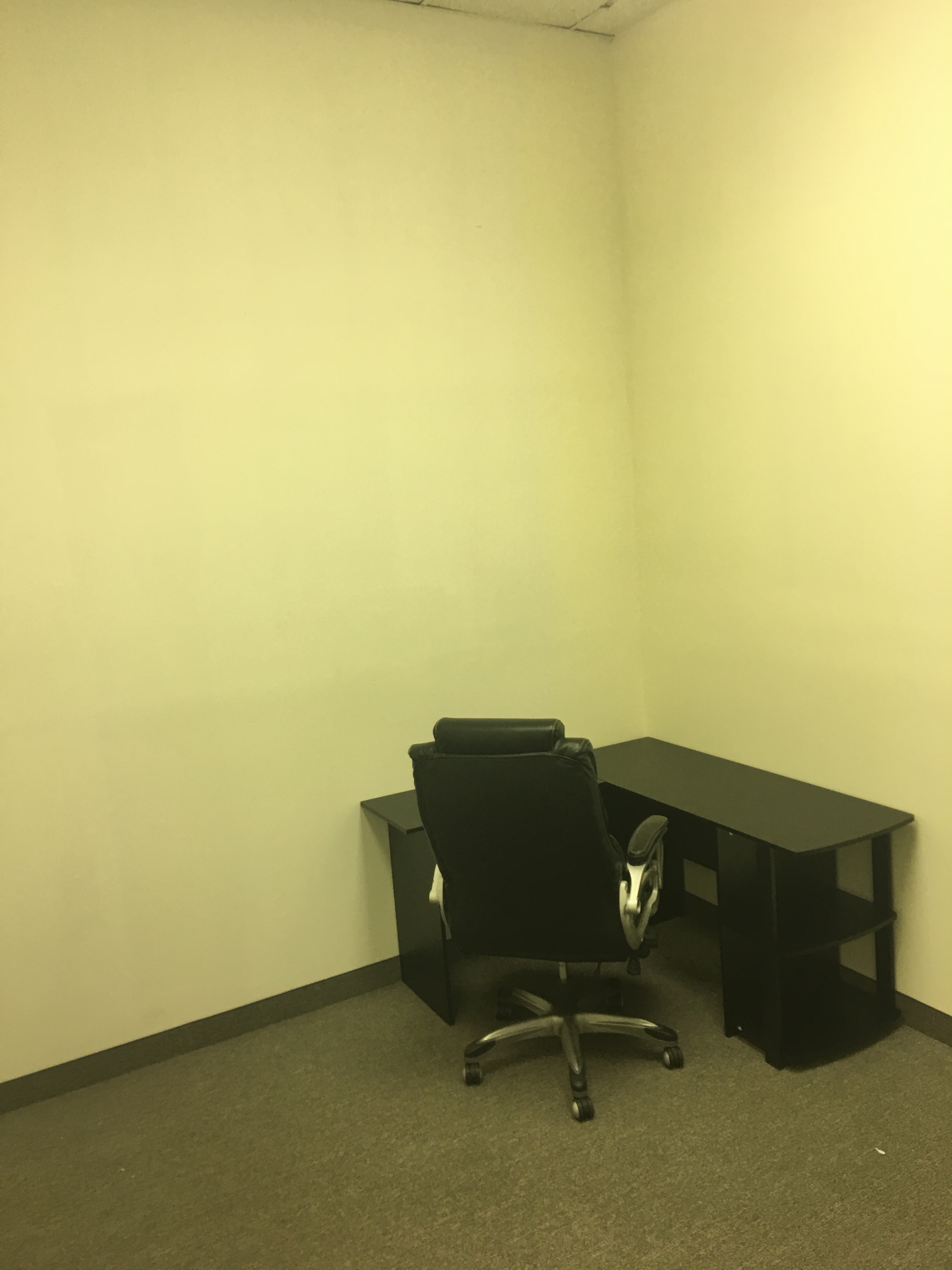 2 Private Offices + Reception area