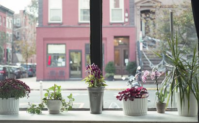 Field  Colony Field  Colony