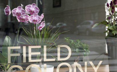 Field  Colony Field  Colony