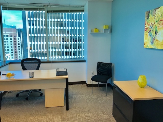 Private office Private office