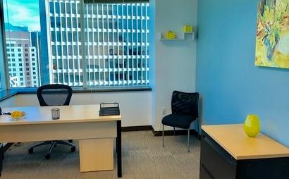 Private office Private office