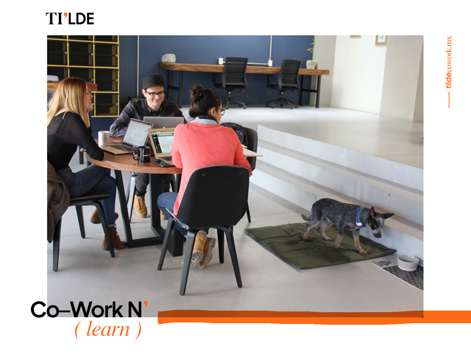 Tilde Coworking N' Space