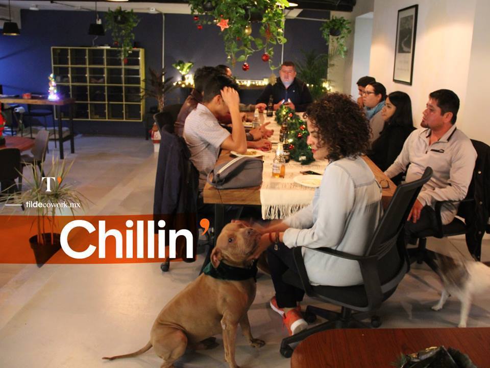 Tilde Coworking N' Space