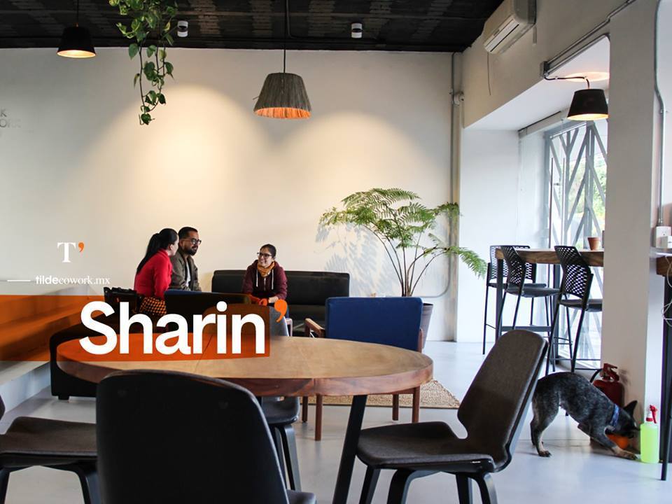 Tilde Coworking N' Space