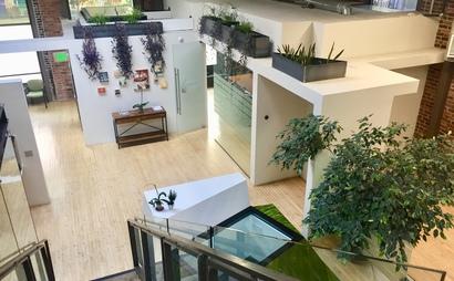 Dedicated Desks with Natural Light (7 Available) Dedicated Desks with Natural Light (7 Available)