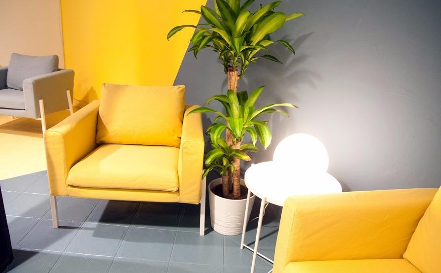 IW Coworking IW Coworking