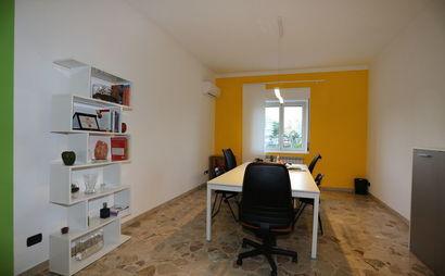 CoWonderful CoWonderful