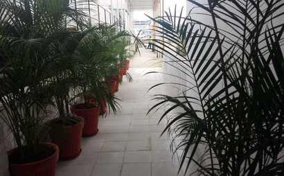 Workshaala Workshaala