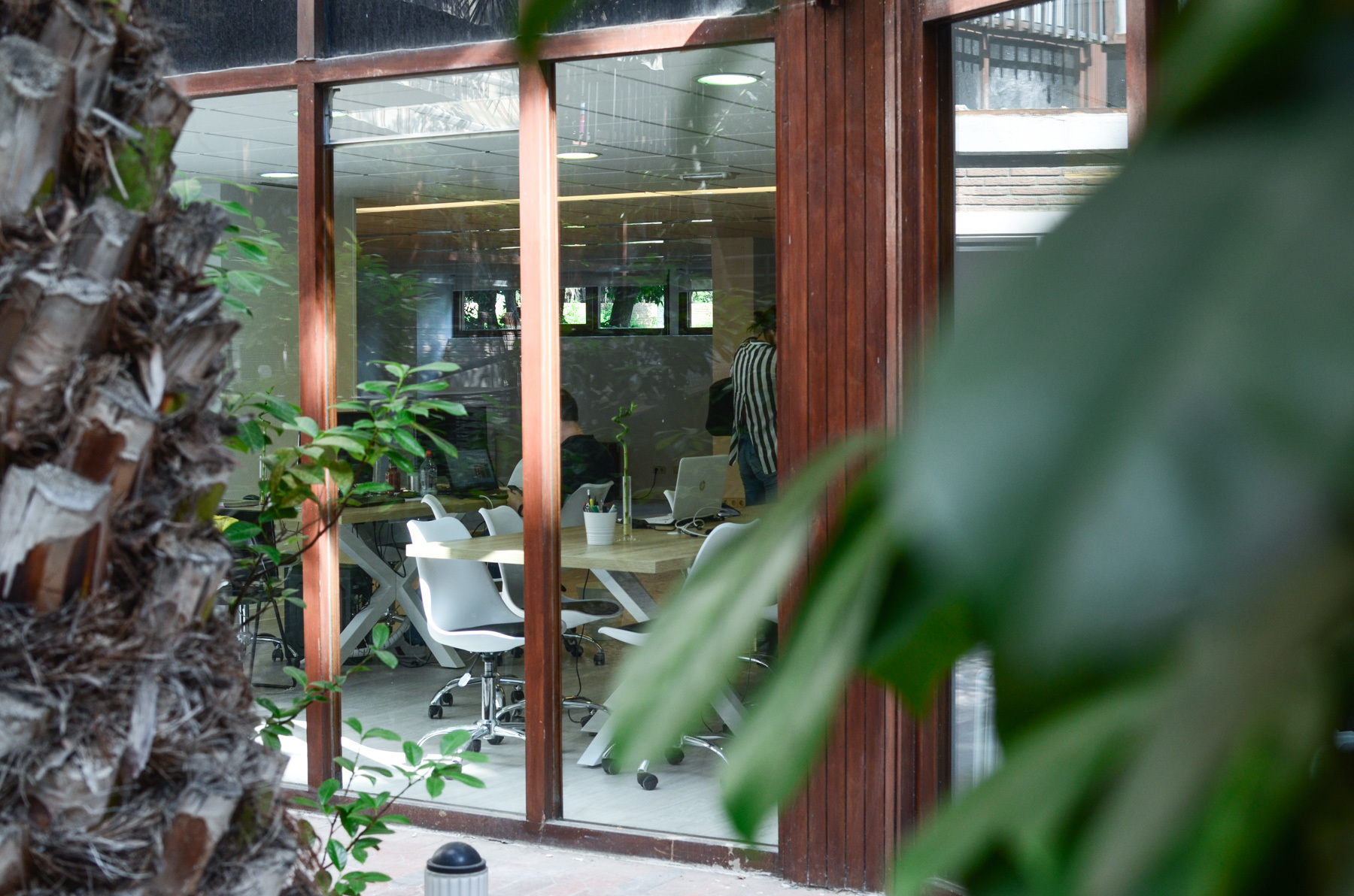 Oasis coworking - Puesto Fijo Oasis coworking - Puesto Fijo