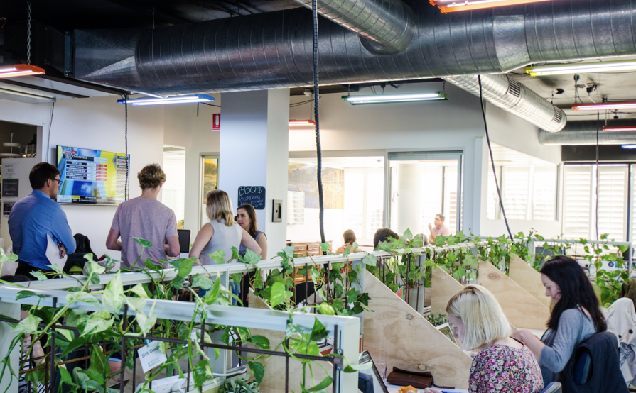 Dedicated Desk - Friendly & Flexible Dedicated Desk - Friendly & Flexible