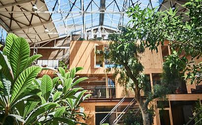 Nest City Lab Nest City Lab