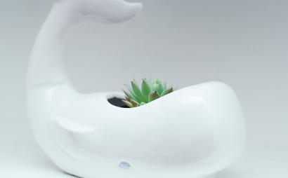 Likuid Spaces Likuid Spaces