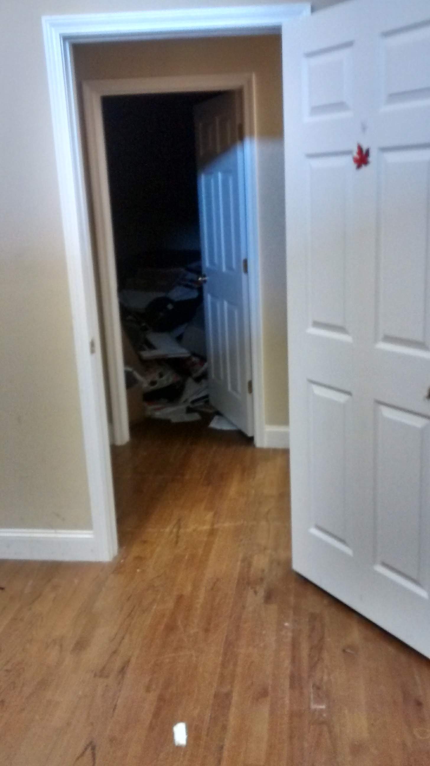 Dexter Kennedy Dexter Kennedy