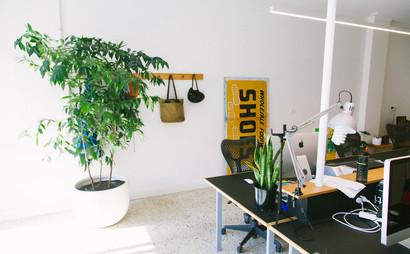 Oliver Palmer Oliver Palmer