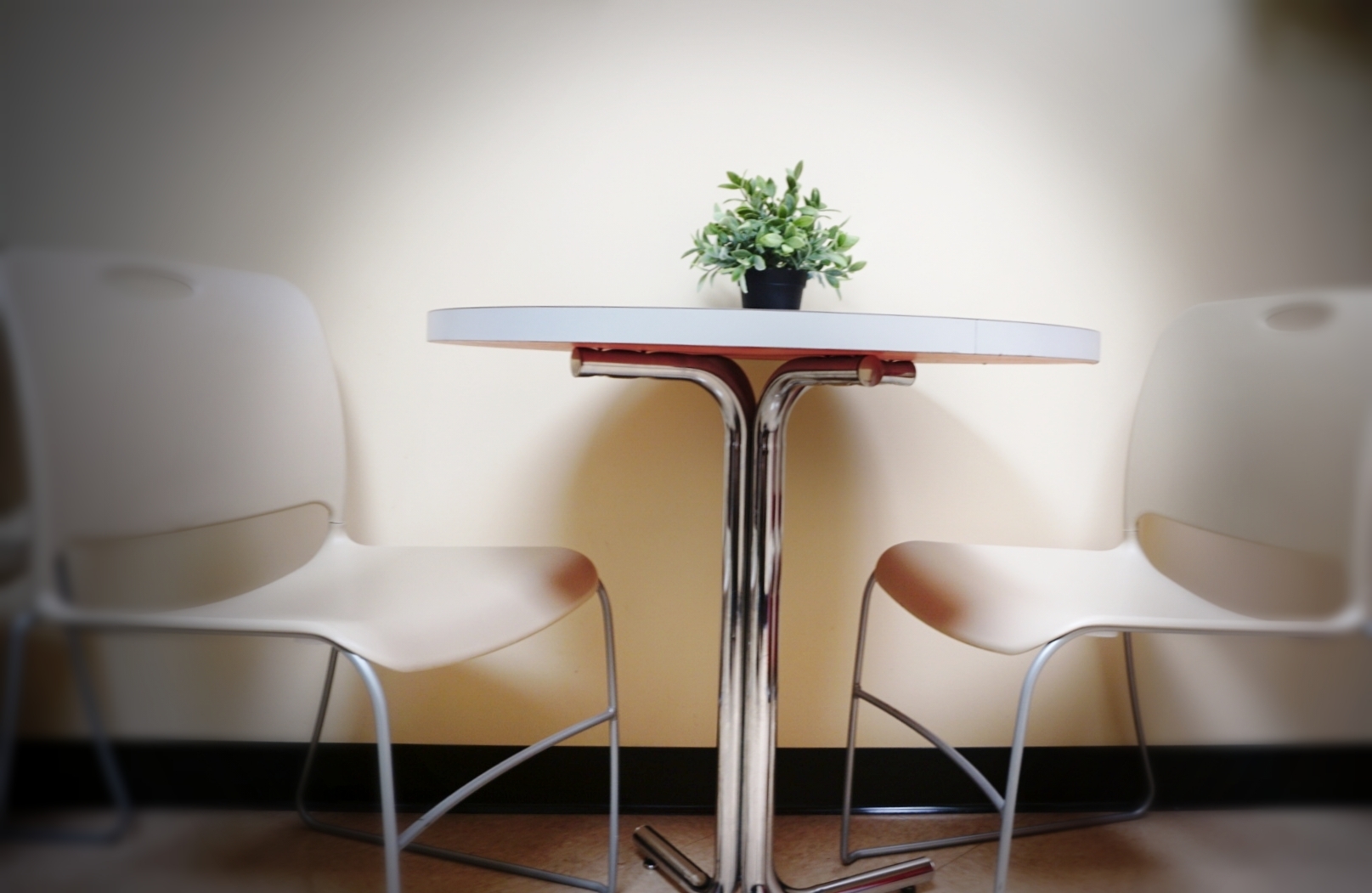 Back Conference Room