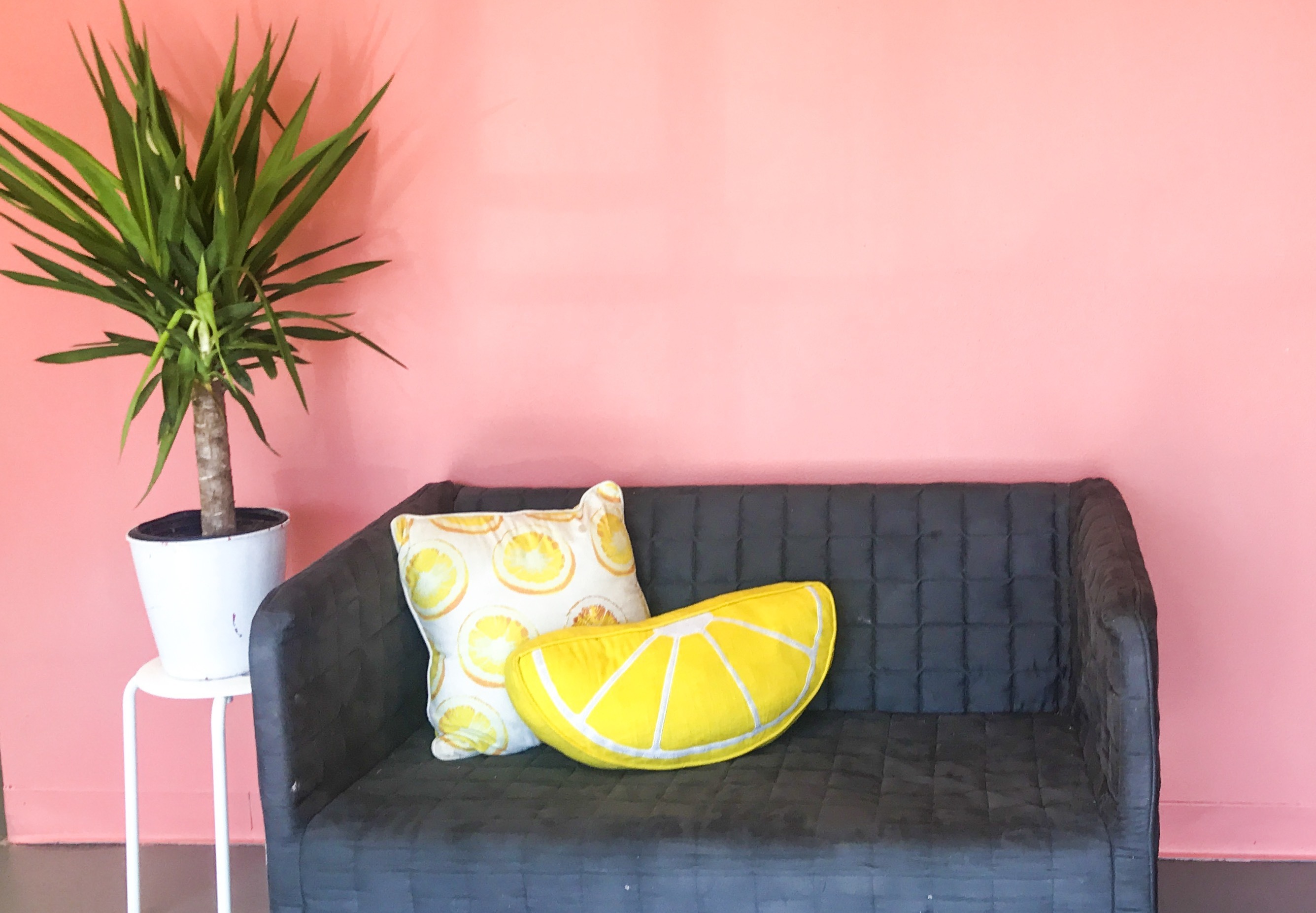 Zestful & Chic Creative co working space 