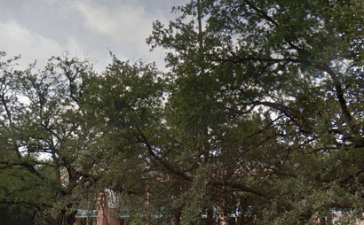 Mary Brunson office space Mary Brunson office space