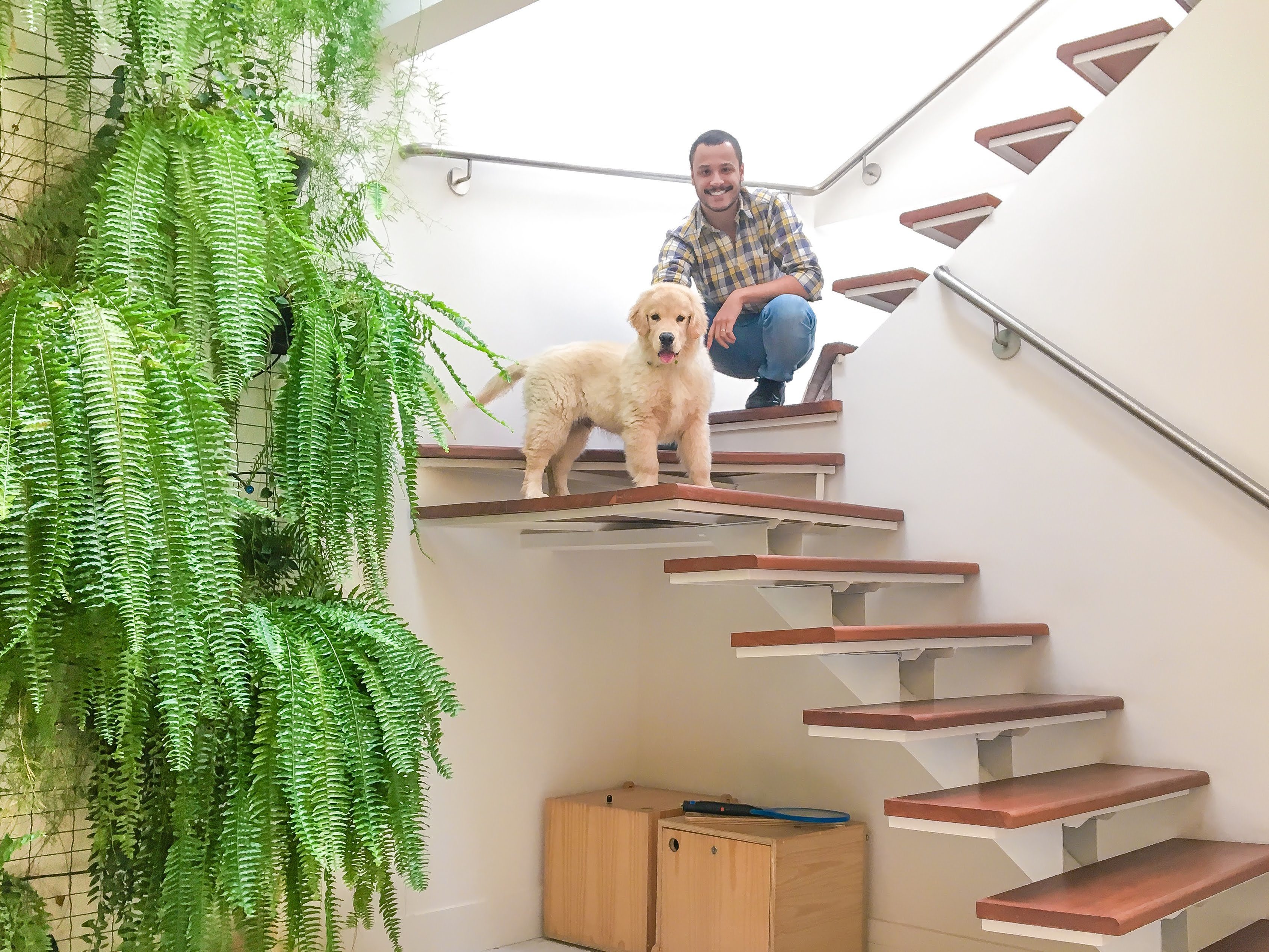 Coworking Higienópolis