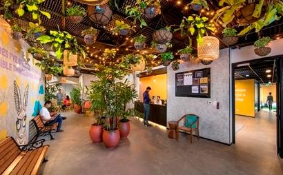 The Hive - Dedicated Desk at Pune The Hive - Dedicated Desk at Pune