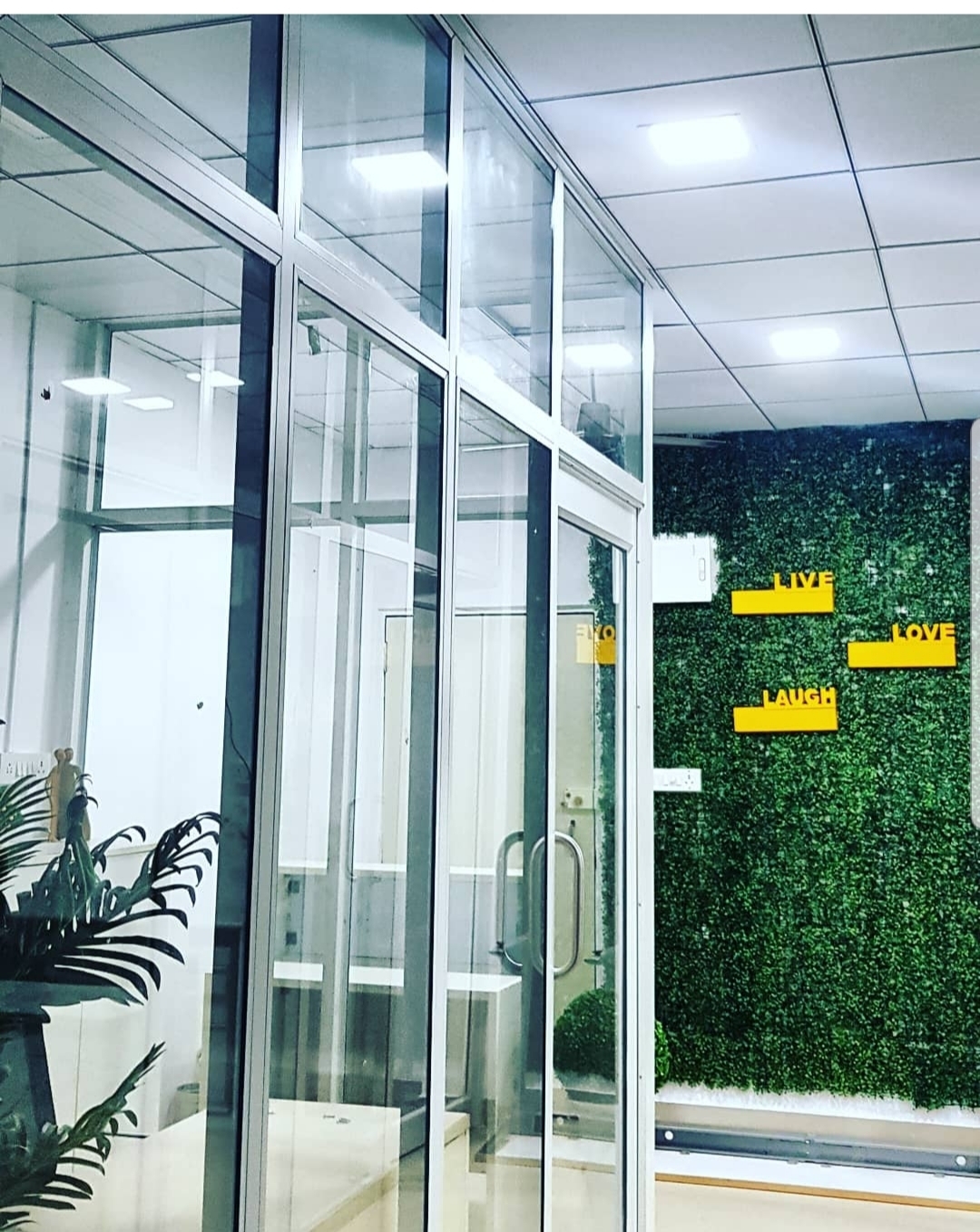 Disha Sharma Disha Sharma